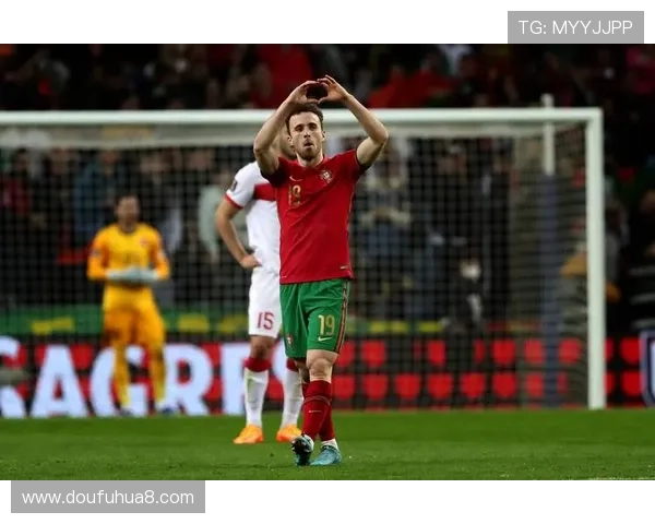 居莱尔展望未来努力助力土耳其重返世界杯舞台