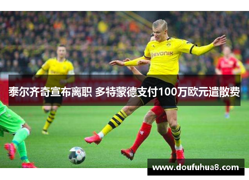 泰尔齐奇宣布离职 多特蒙德支付100万欧元遣散费