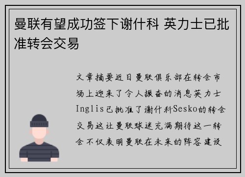 曼联有望成功签下谢什科 英力士已批准转会交易
